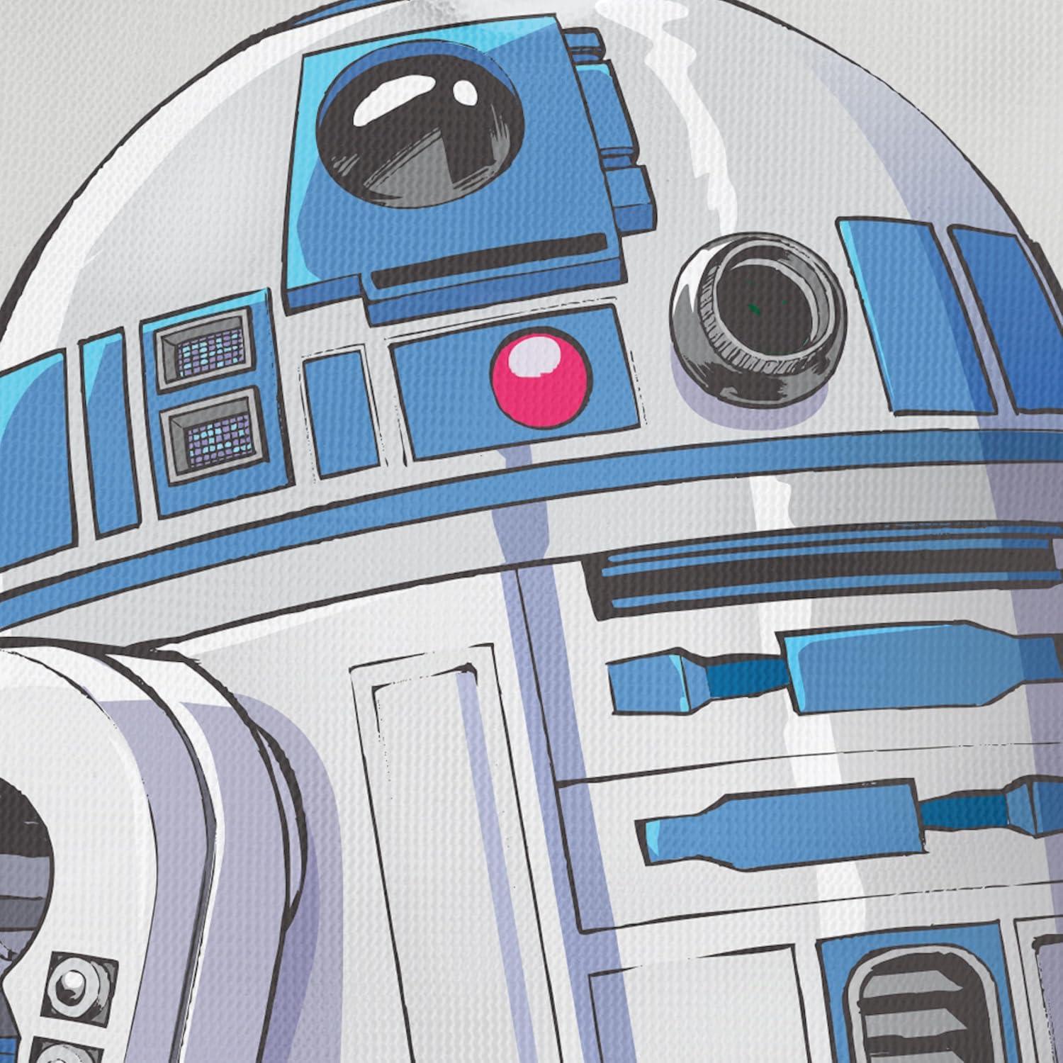 imageKitsch x Star Wars R2D2 Soap Saver Bag Patented Mesh Bag Soap Holder for Shampoo amp Conditioner Bars Extends Use amp Prevents Soggy Mess Recycled Mesh Beauty Pouch EcoFriendlyR2d2