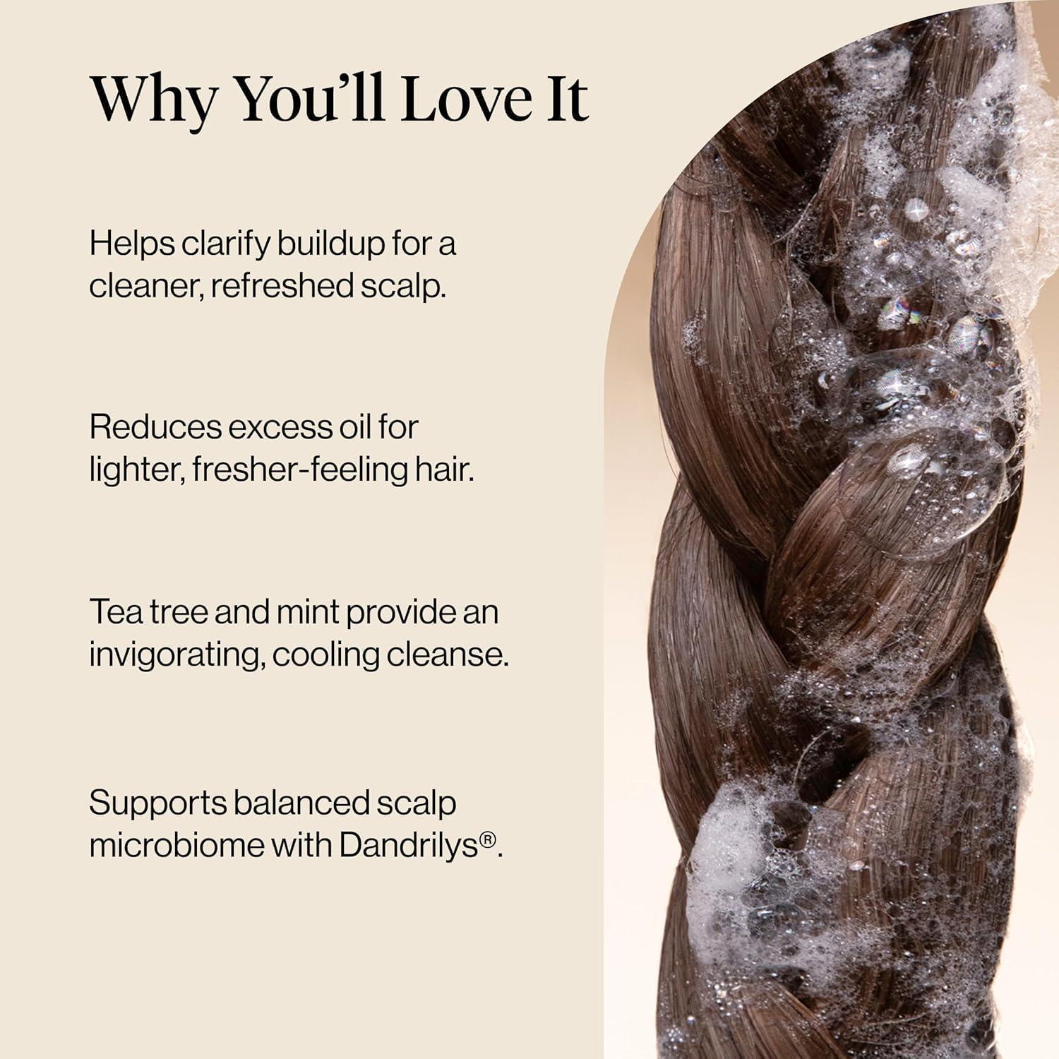 imageKitsch Clarifying Tea Tree Liquid Conditioner for Women amp Men Lightweight Hydration Hair Conditioner with Peppermint amp Tea Tree Oil for Oily Hair amp Scalp Buildup Made in USA Hair Care 12 oz